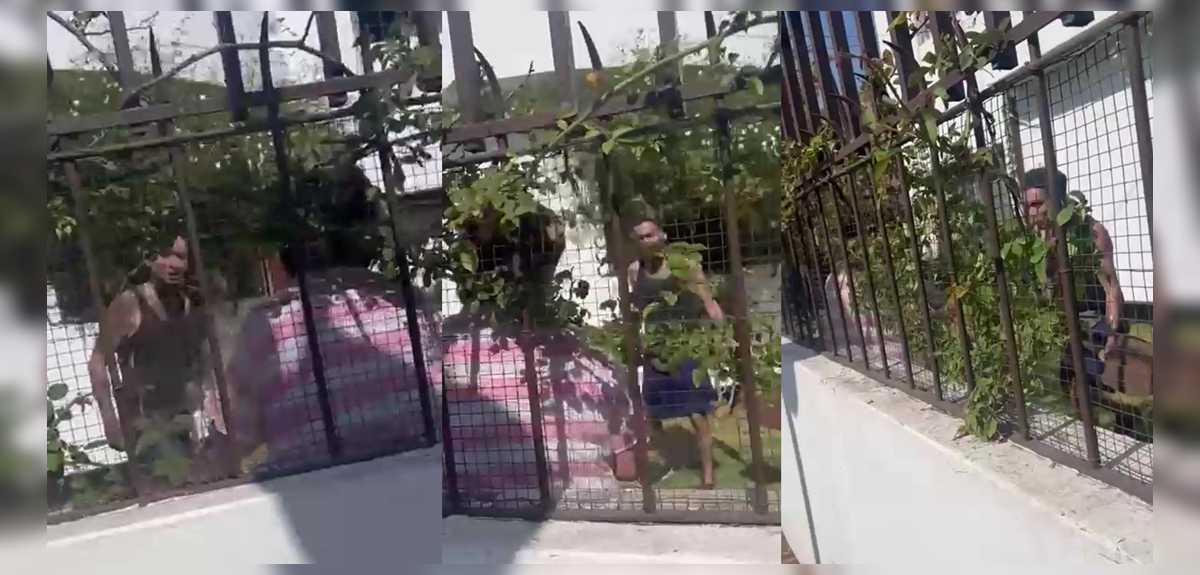 Graban a hombre amenazando con una pala a su madre de 58 años en Ñuñoa: “Te voy a cortar la cabeza”