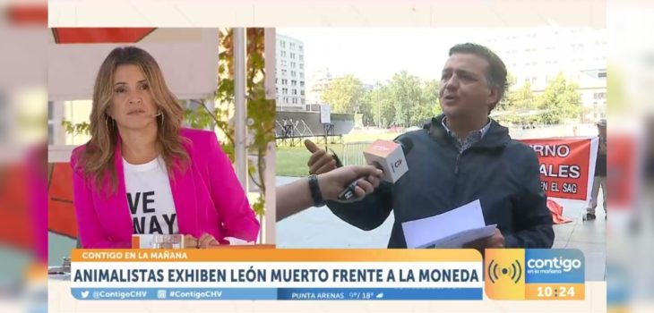 león muerto frente a La Moneda