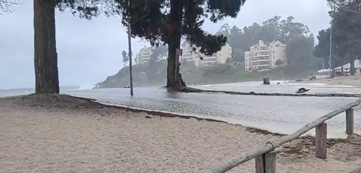 Tras reciente tragedia en Pingueral: turistas insisten en tomarse fotografías durante marejadas