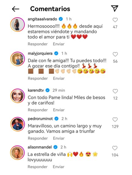 mensajes Pamela Leiva Festival de Viña