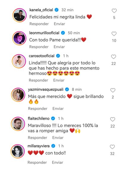 mensajes Pamela Leiva Festival de Viña