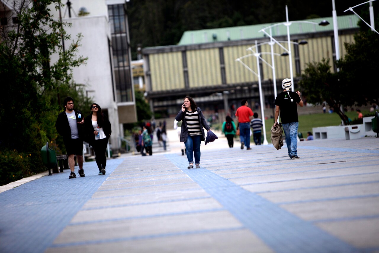 Mujer que paseaba a sus mascotas fue apuñalada en UdeC a plena luz del día