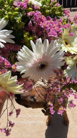 Mayte Rodríguez recibió romántico regalo de cumpleaños de su pareja: "Gracias mi amor"