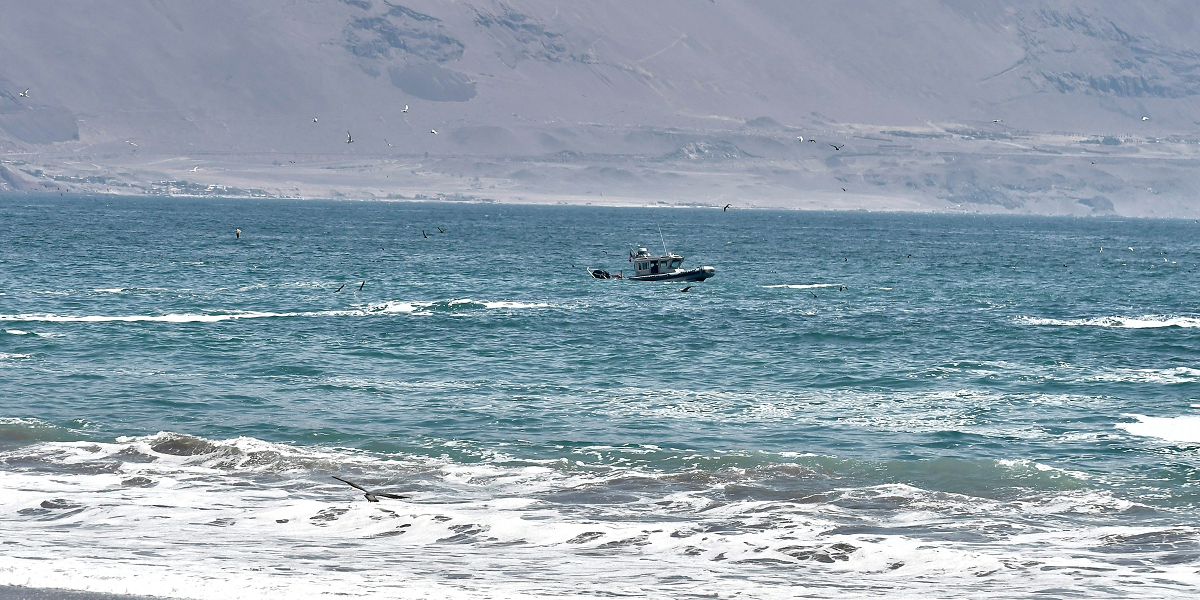 Entregan nuevos antecedentes tras búsqueda de padre y sus dos hijos desaparecidos en playa Pingueral