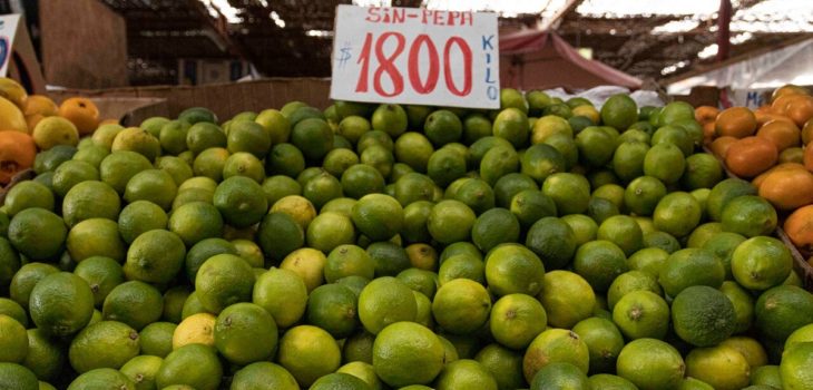 Precio de los limones