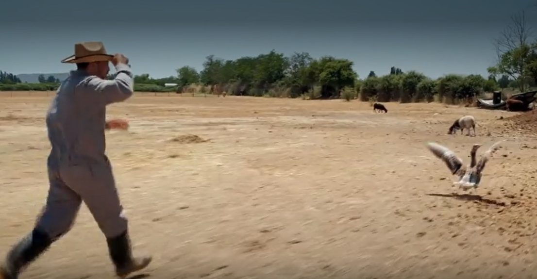Simón Oliveros A la punta del Cerro
