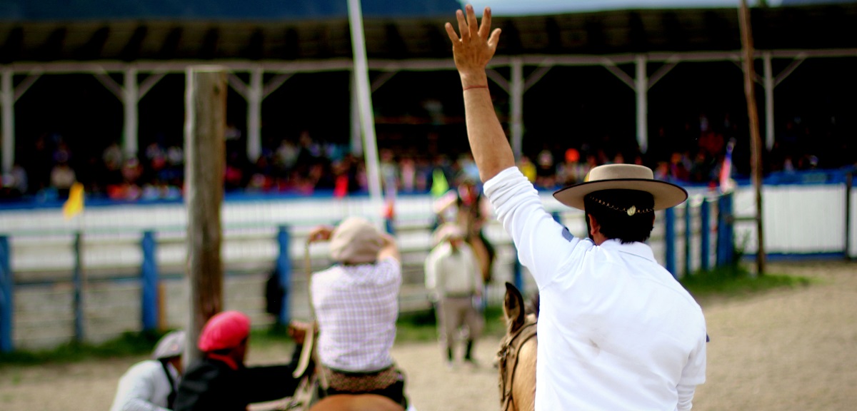 Yegua mató a hombre de una patada en medio de preparación de 'carrera a la chilena'