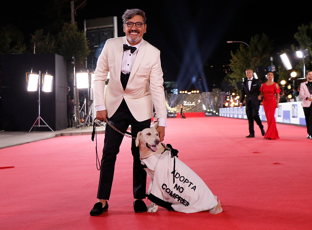 Mascota en Gala de Viña