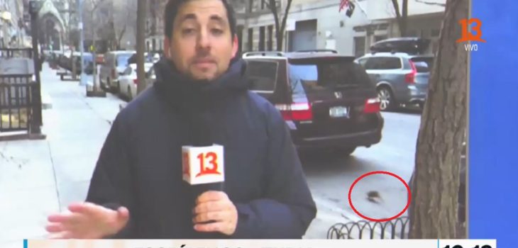 Despacho de Tu Día desde Nueva York