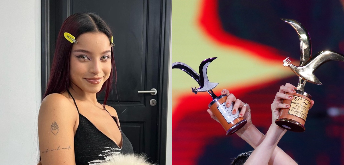 No es su primera vez en Viña: el debut de 