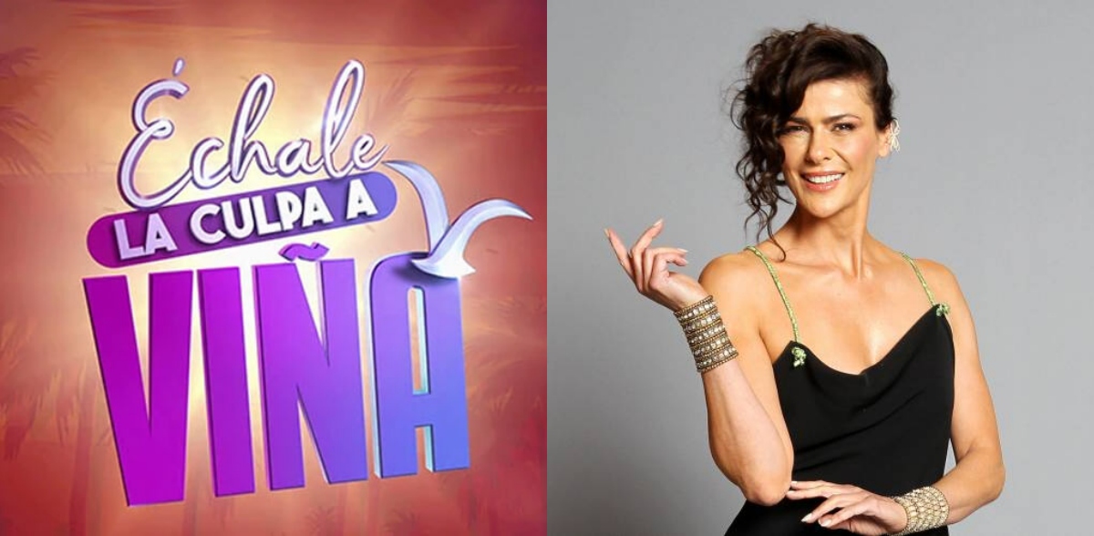 Anuncian al rostro de TVN que acompañará a Tonka Tomicic en la animación de 