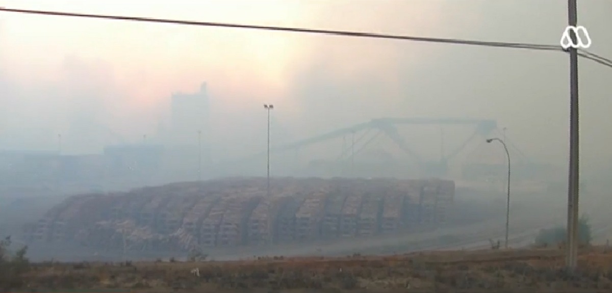 Arauco declara 'Alerta Negra' y evacúa a trabajadores de celulosa Nueva Aldea por incendio forestal