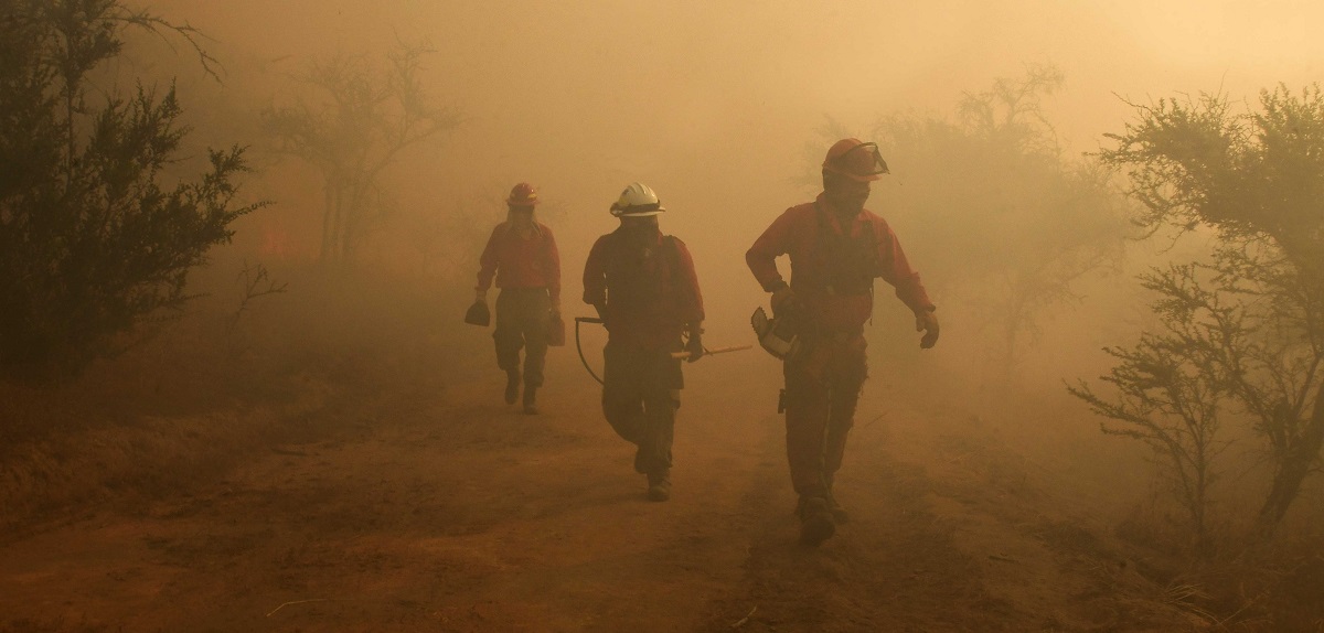 Detienen a soldador que habría causado incendio en Arauco: se han quemado 17 casas y 60 hectáreas