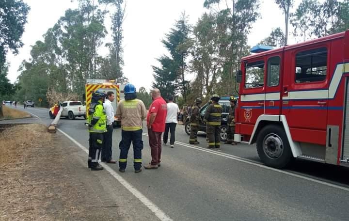 Exdirector regional de Conaf en La Araucanía murió tras caerle un árbol a su vehículo