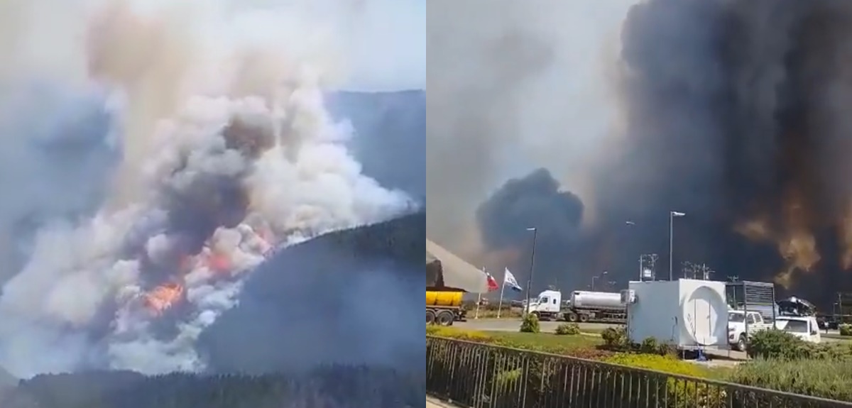 Alarma por reactivación de incendios en Santa Juana y Victoria: ordenaron evacuación