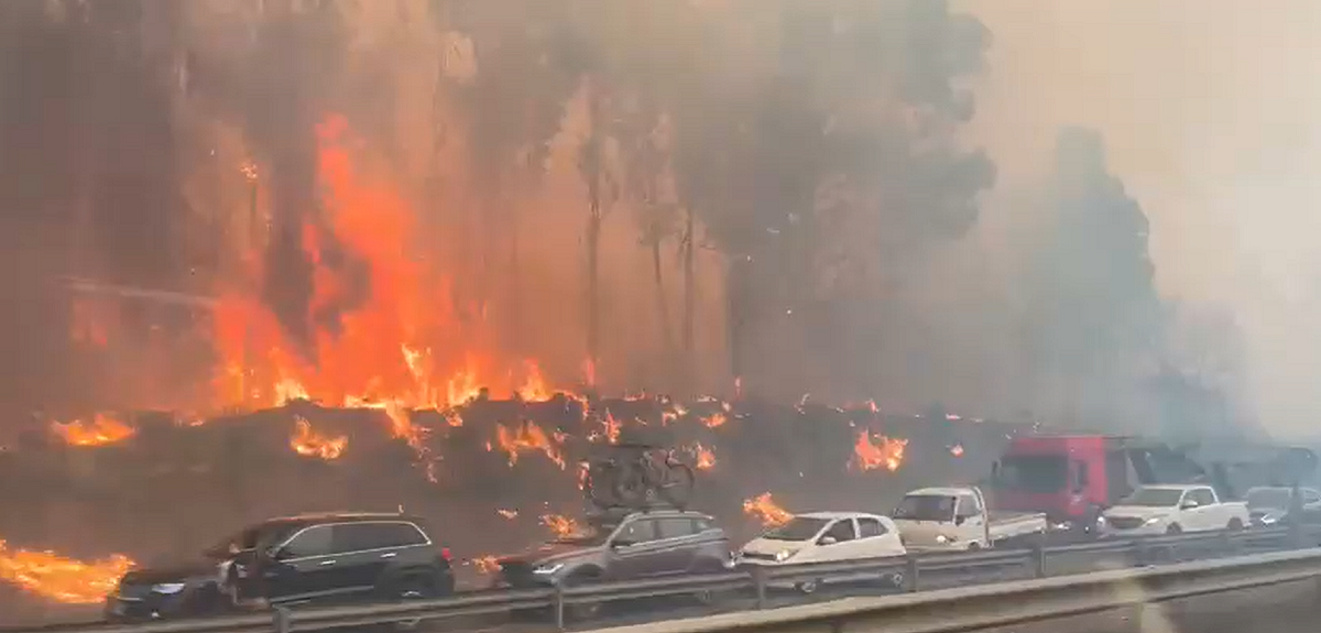 Captan minutos de angustia de automovilistas en Ruta 5 en La Araucanía con fuego a un costado