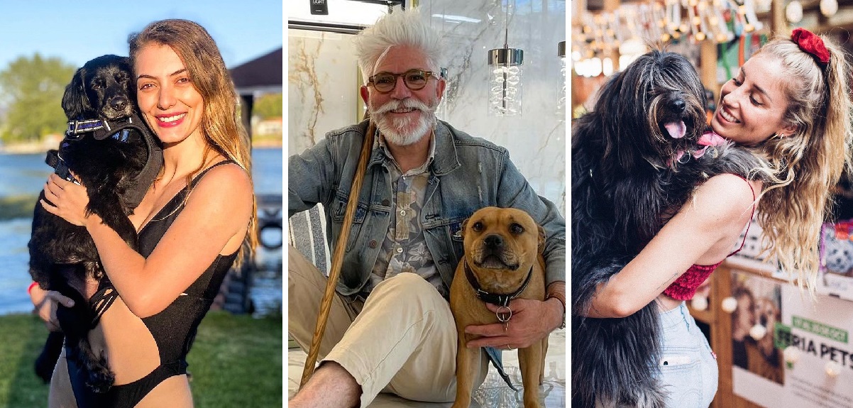 Estos son los perros que se tomarán la alfombra roja en 'Noche cero: la nueva gala del Festival'