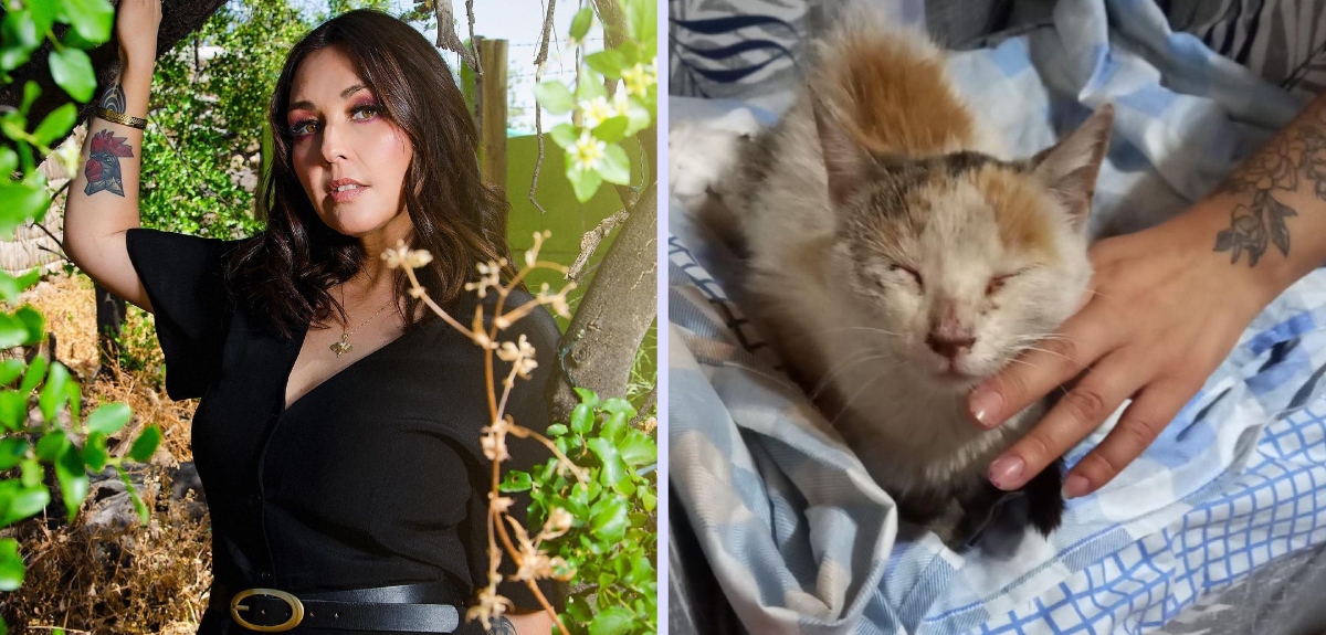 Denisse Malebrán denunció grave caso de maltrato animal en Angol: 