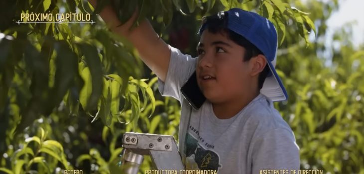 Tomás en la Ley de Baltazar