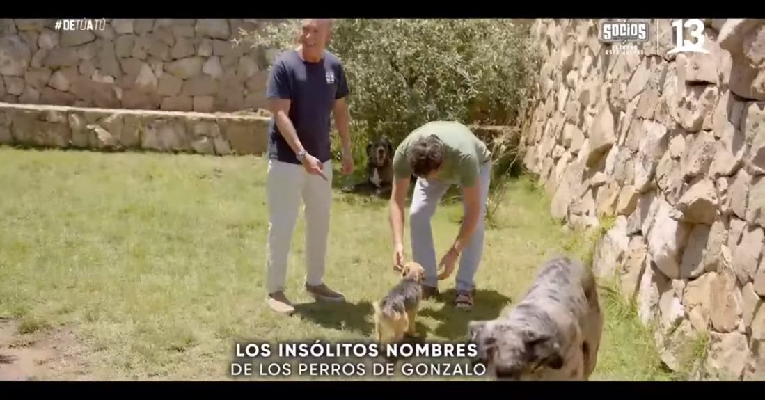 Gonzalo Valenzuela perros