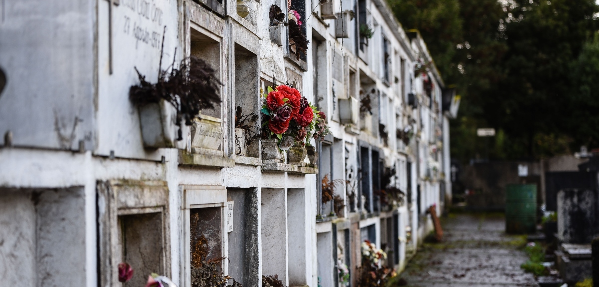 Macabro hallazgo en cementerio de Viña del Mar: trabajador encontró cráneo humano en una bolsa