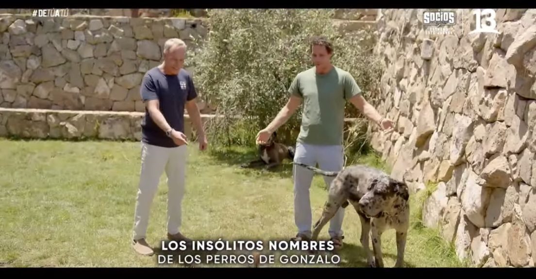 Gonzalo Valenzuela perros