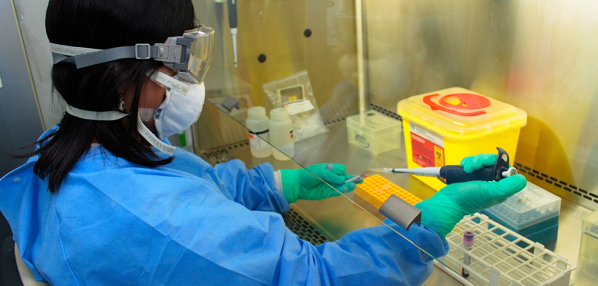 Niña de 11 años es el primer caso de virus Hanta en Los Lagos: se encuentra en recuperación