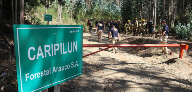 Búsqueda de Tomás Bravo