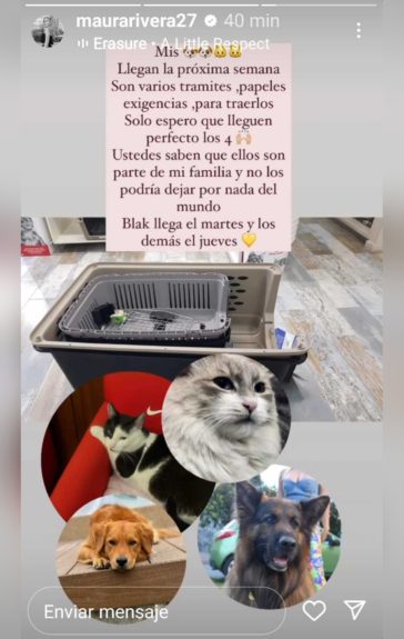 mascotas Maura Rivera y Mark González 