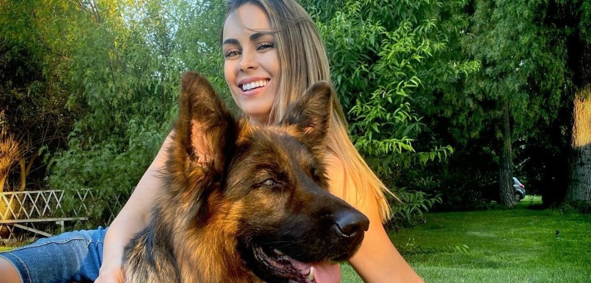 Maura Rivera reveló cómo trasladó a sus mascotas de Santiago a Miami: entregó tips en video