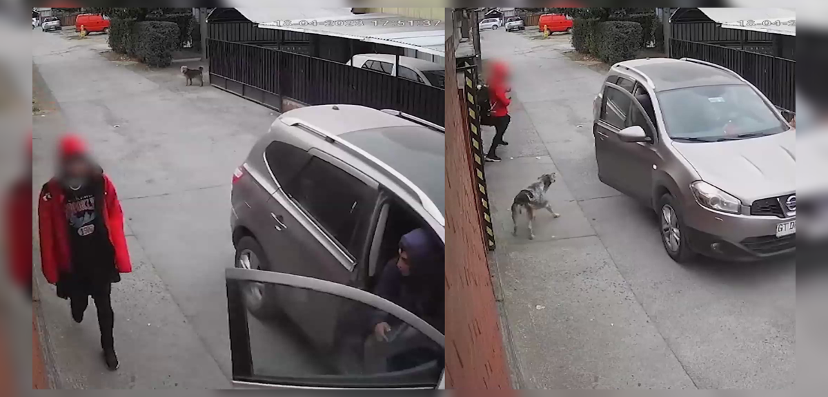 Registran angustiante robo frustrado a menor de edad a plena luz del día en Angol