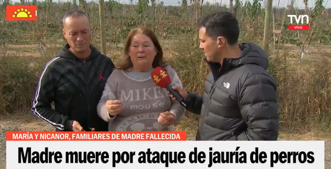Tía de mujer asesinada por agresiva jauría de perros en Buin exige justicia: "Hay tres niños solos"