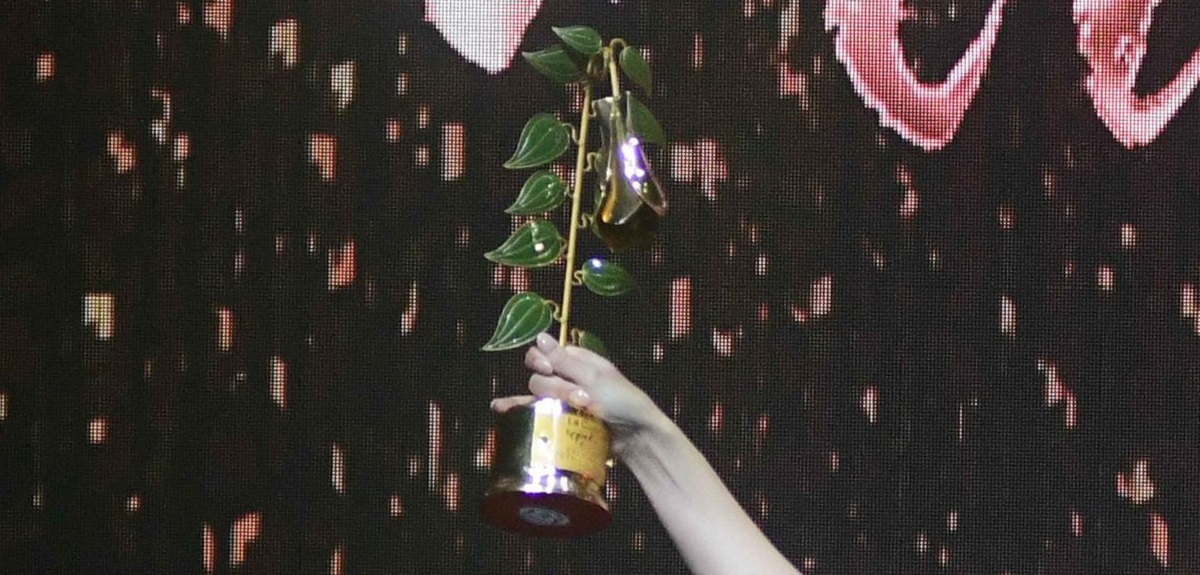 Nominados a los Copihue de Oro 2023: habrá 21 categorías y 118 candidatos