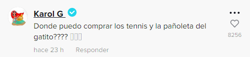 Karol G contactó a emprendedor chileno tras inspirador video viral de TikTok: "No lo podía creer"