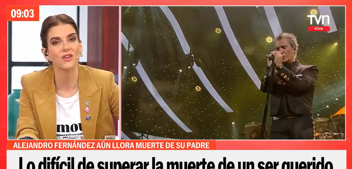 María Luisa Godoy desclasificó restricción que le hicieron a Alejandro Fernández en Viña 2023