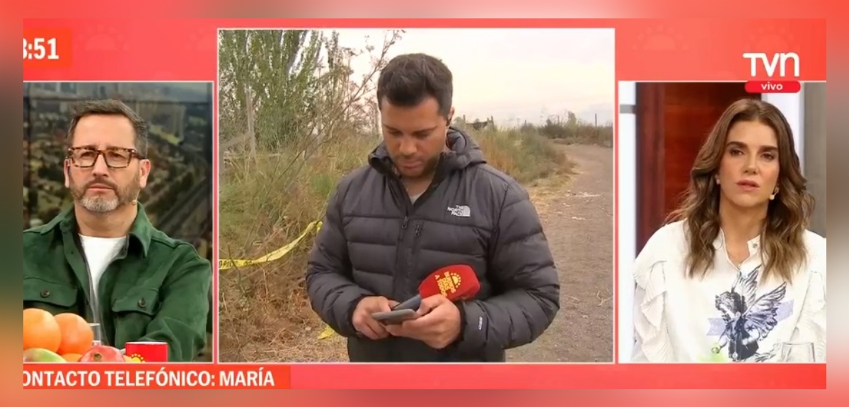 El relato de dueña de los perros que mataron a mujer en Buin: 