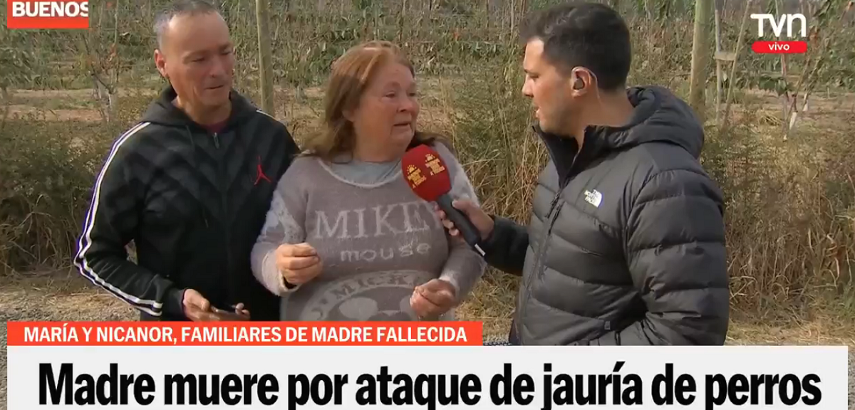 Tía de mujer asesinada por agresiva jauría de perros en Buin exige justicia: 