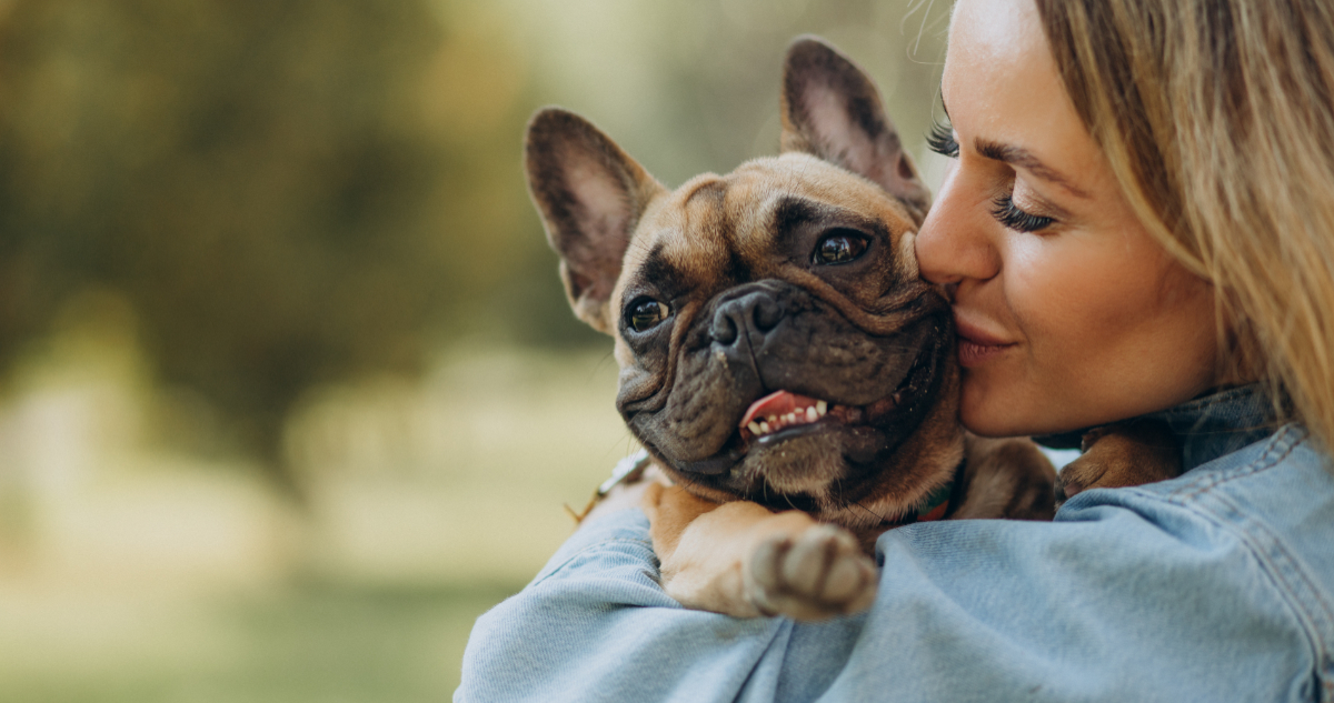 ¿Sales de casa todo el día? Una cámara de vigilancia podría ayudarte a ver cómo está tu mascota