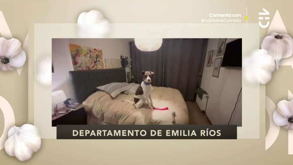 Emilia Ríos, alcaldesa de Ñuñoa, mostró su "sencillo" departamento en La Divina Comida: realizó tour