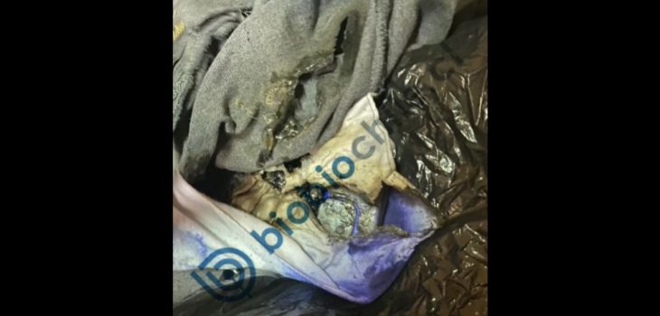 incendio celular escolar