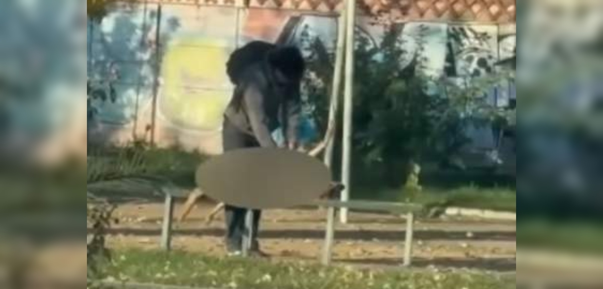 Madre de joven que destripó a perro en plaza de Curicó pidió disculpas: 