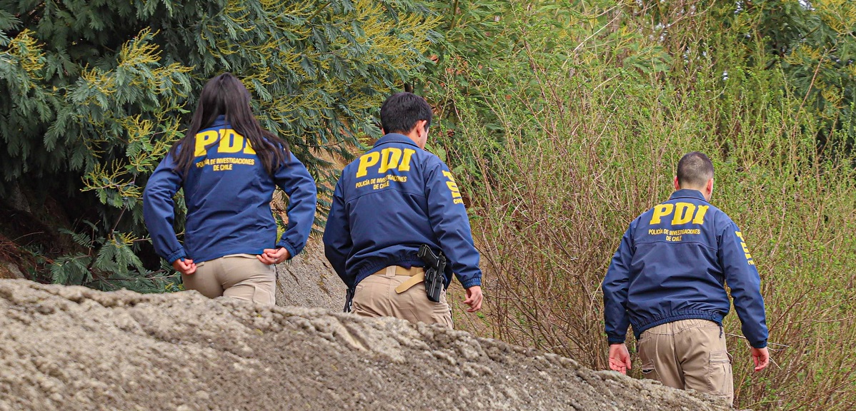 PDI confirma que cuerpo mutilado encontrado en Lirquén es de una mujer: 