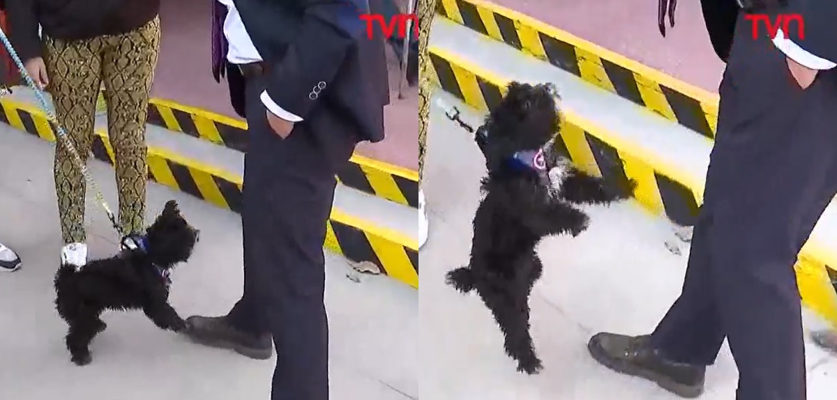 Periodista de TVN fue 