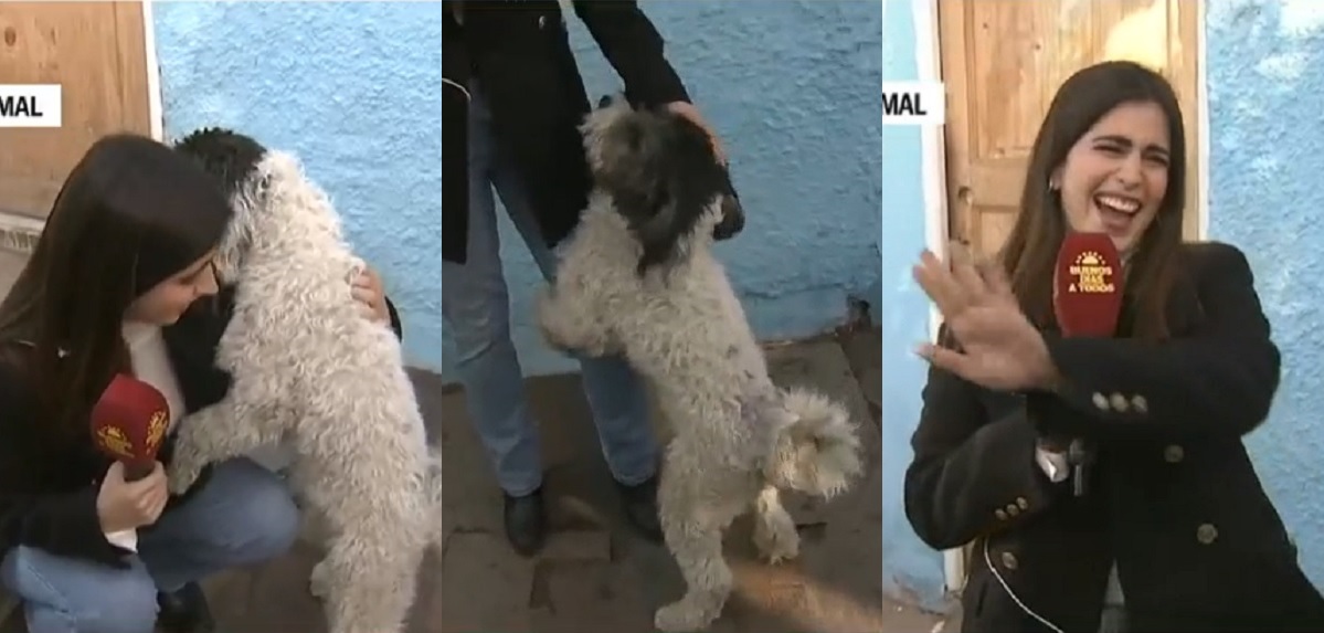 Periodista del 'Buenos Días a Todos' sufrió incómodo chascarro en vivo: 