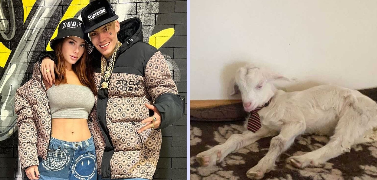 Ignacia Michelson y Marcianeke sorprendieron al adoptar un cabrito: 