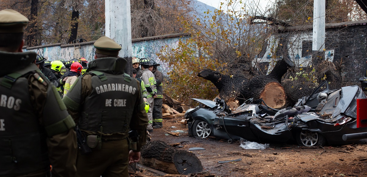 Mueren dos personas por caída de árboles en Peñalolén y Concepción