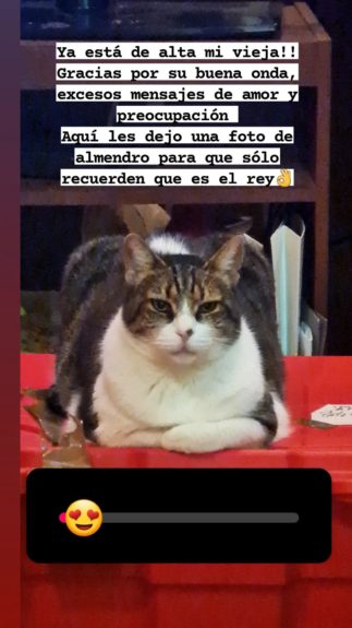 Hija de Patricia Maldonado habló del actual estado de salud de su madre: "Gracias por su buena onda"