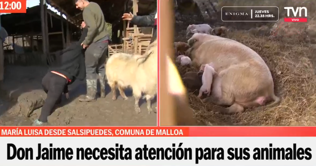 María Luisa Godoy protagonizó chascarro en vivo al quedar atrapada en el barro: "Está engañoso"