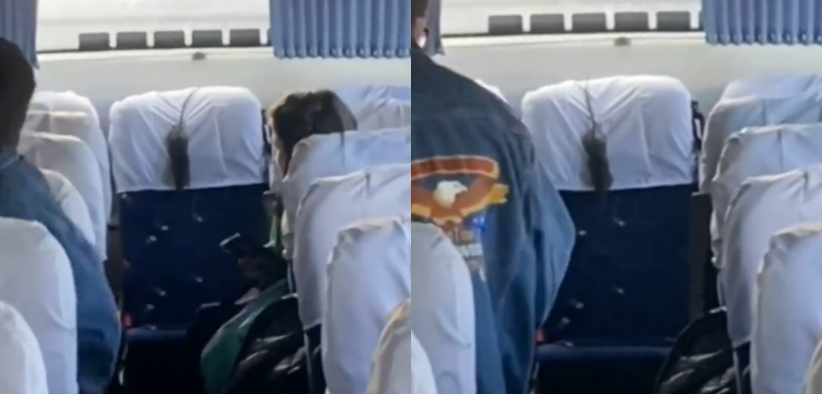 Captan a ratón en bus del Colegio Saint John's de San Pedro de la Paz: establecimiento tomó medidas