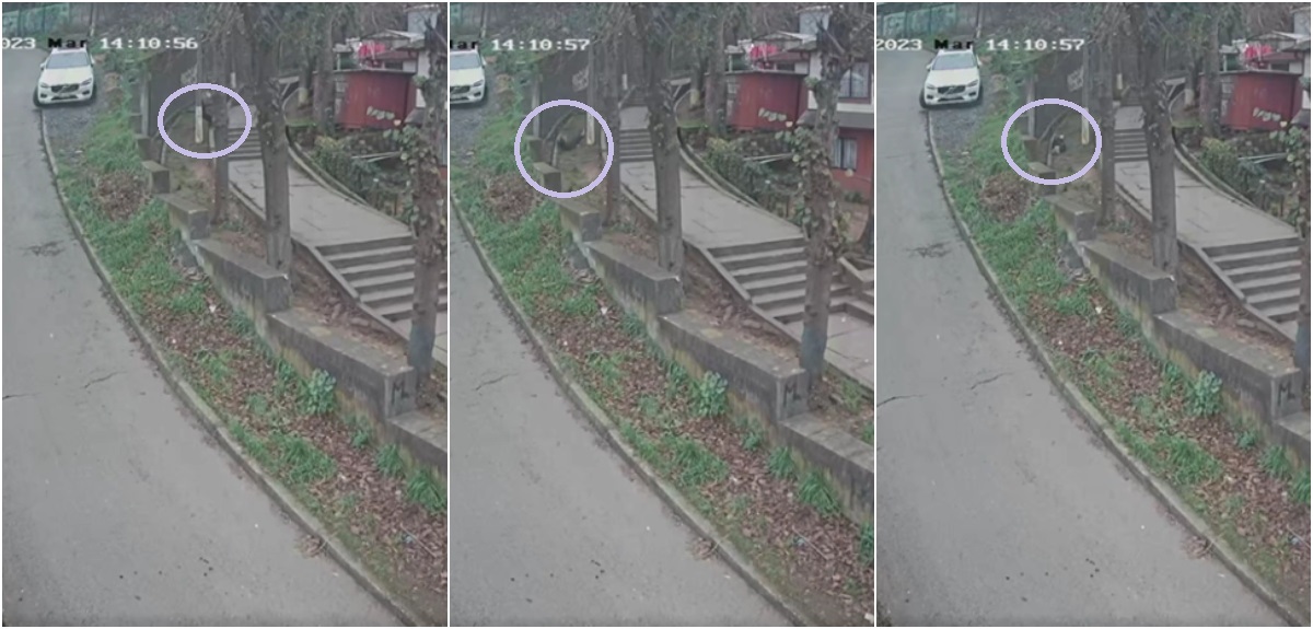 Brutal homicidio de persona en situación calle en Lota: cámara captó cómo lo lanzaron por escalera